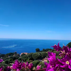 Appartement Azur